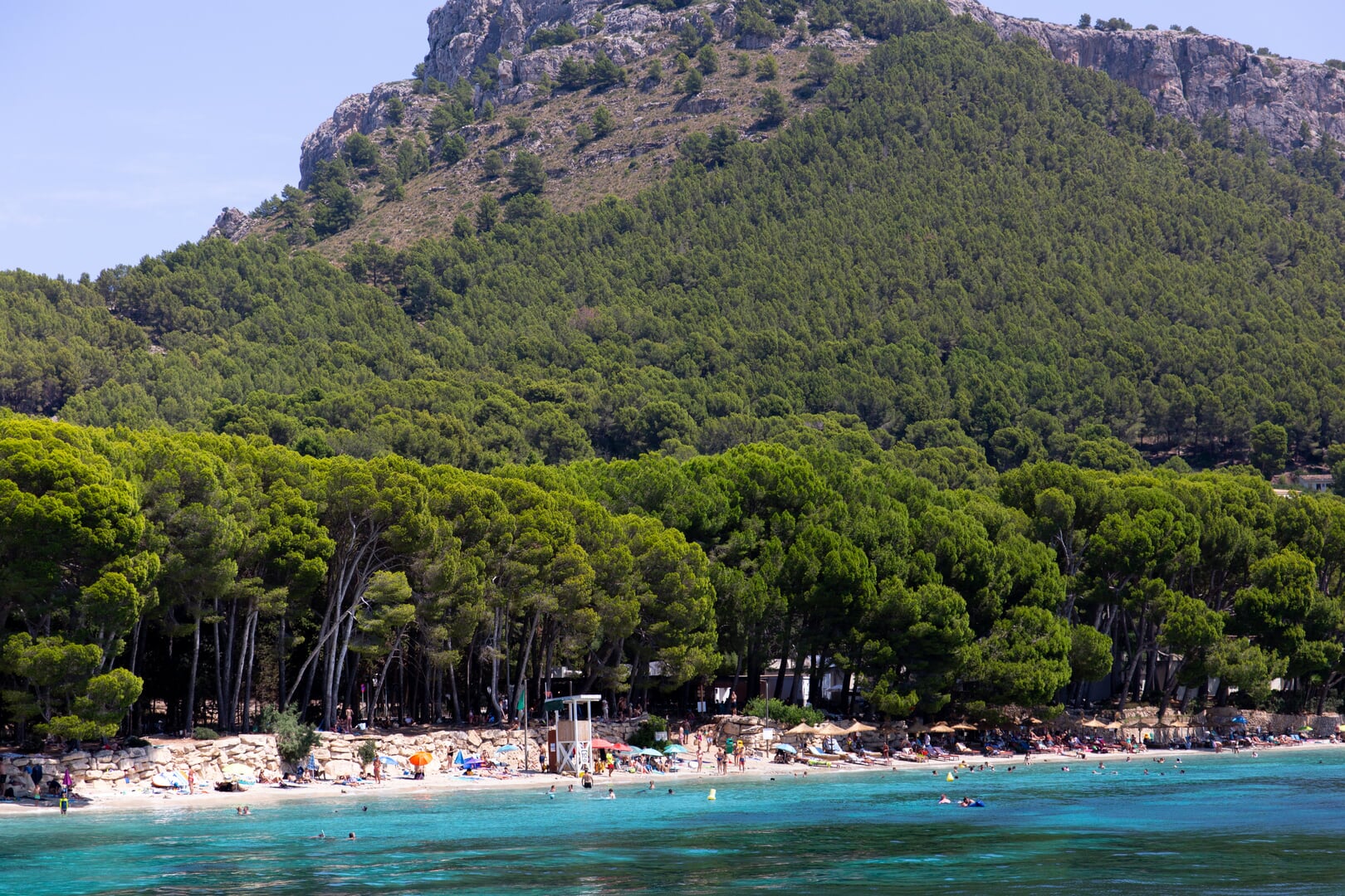 harbor Alcudia