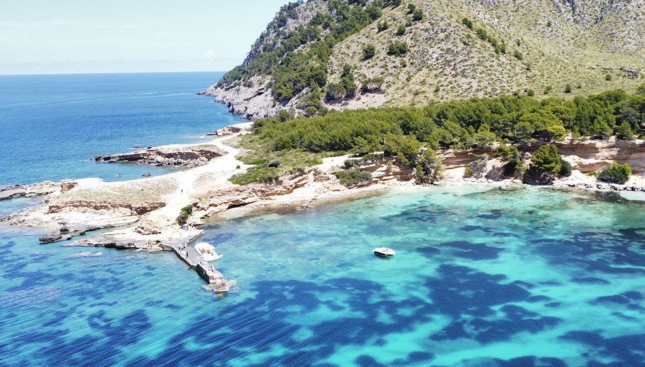 beach in nature parc