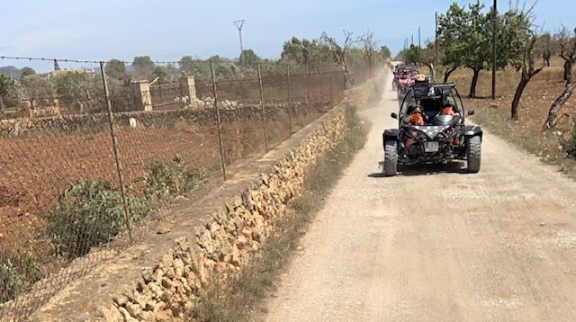 Stop at a viewpoint turing the buggy mallorca tour