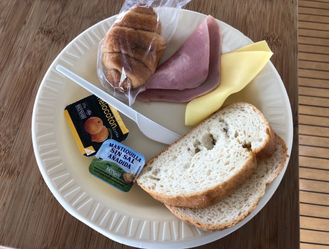 dolphin watching majorca