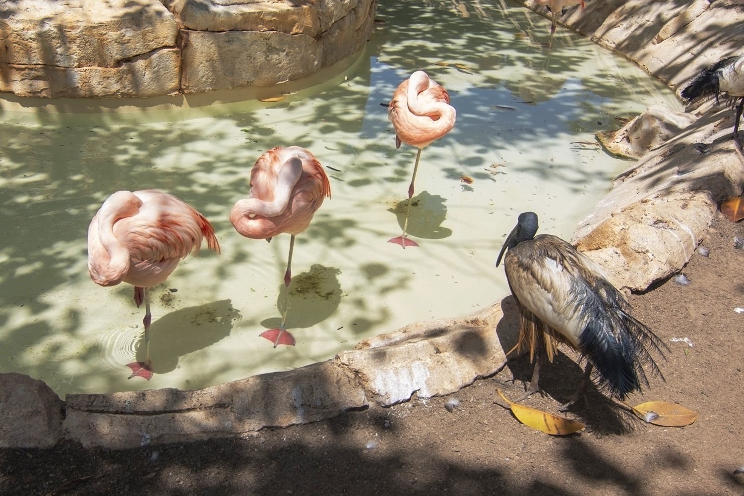 discounts in marineland