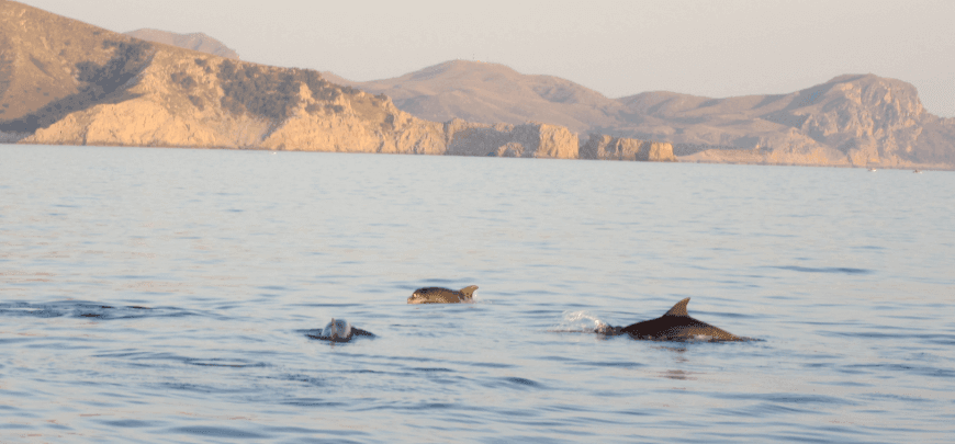 Sunrise in Cala Ratjada