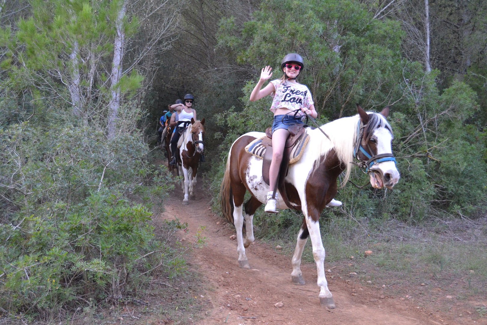 horse rding excursion in a route around the forest