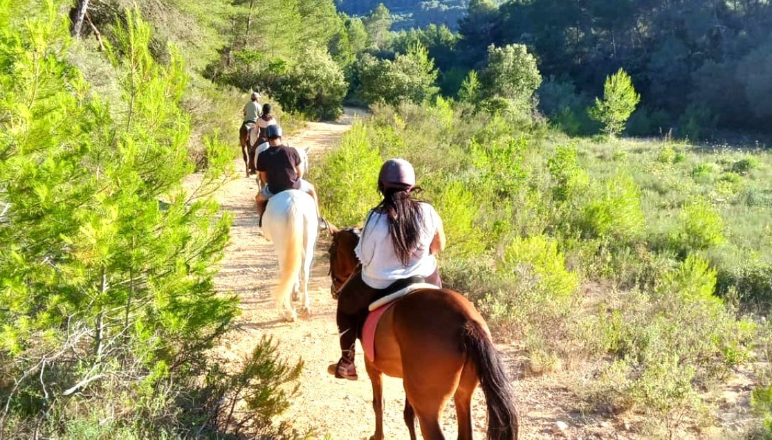 horses on the excursion