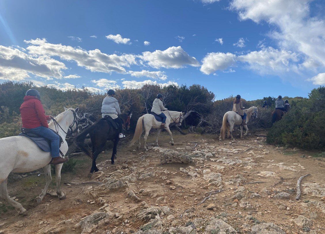 horse riding beach excursion at click-mallorca