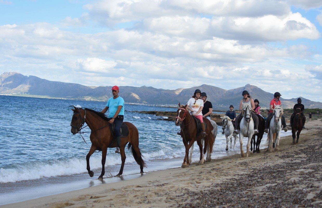 mallorca beach horse riding tour