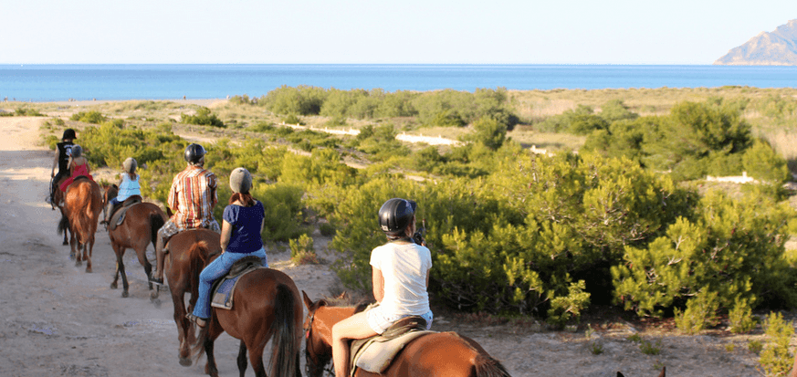 enjoying a horse riding