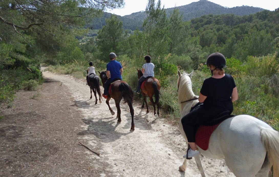 excusion with horses