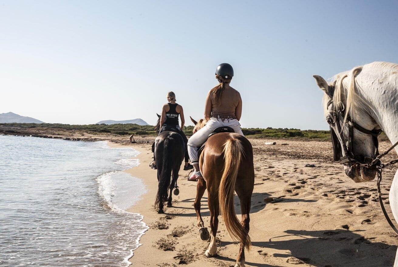 Close-up of horses walking on the sand by the sea during a horseback riding excursion on a Mallorca beach