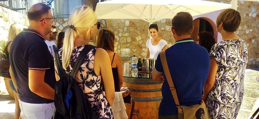 macia batle wine cellar