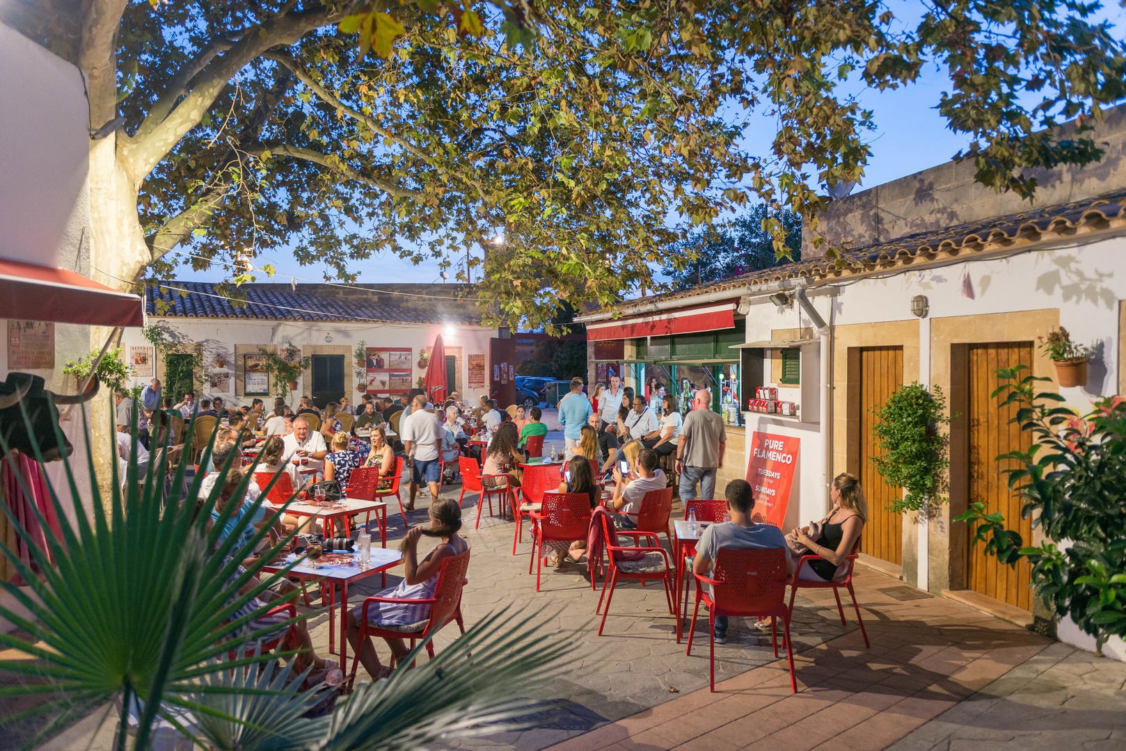 Bar area in Plaza de Toros in Alcudia