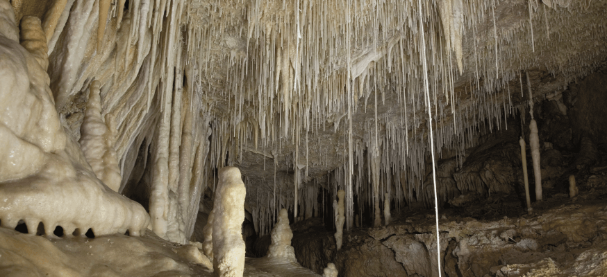stalactites formed in the campanet caves