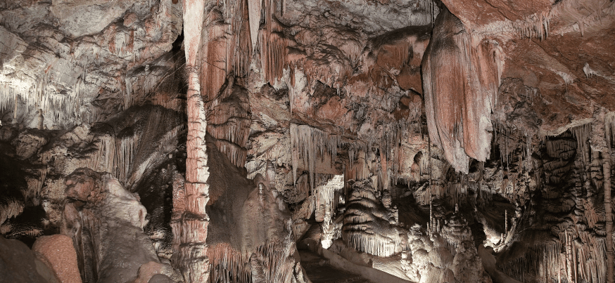 activities in mallorca