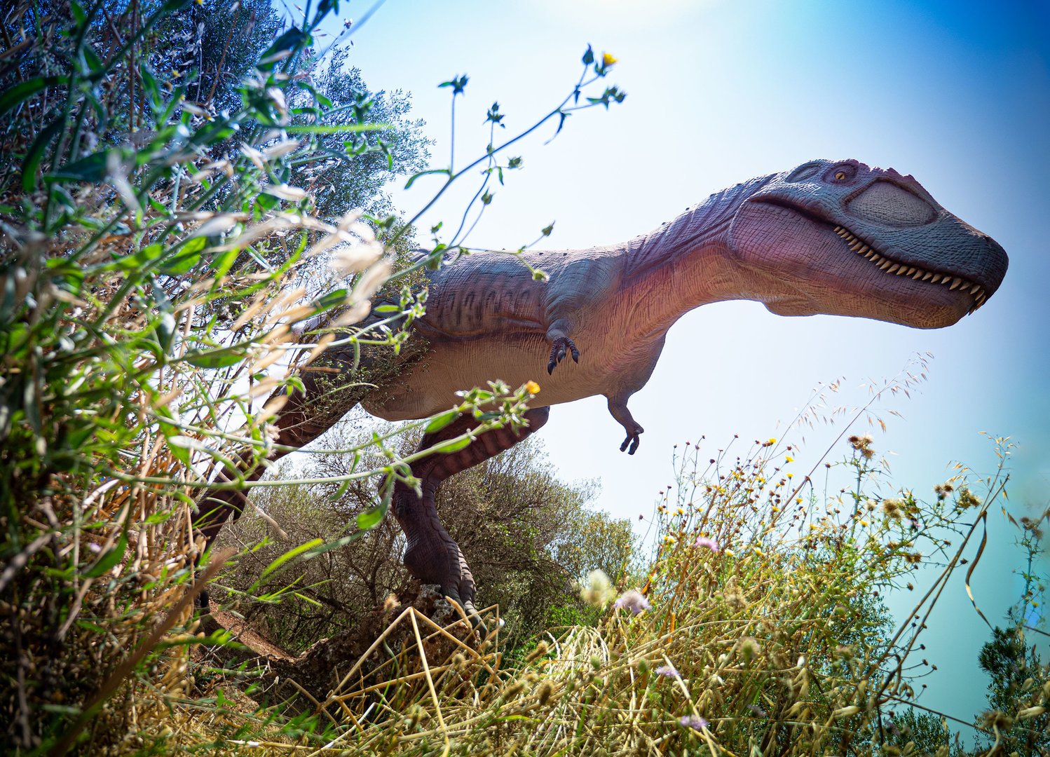 dinosaur in the park