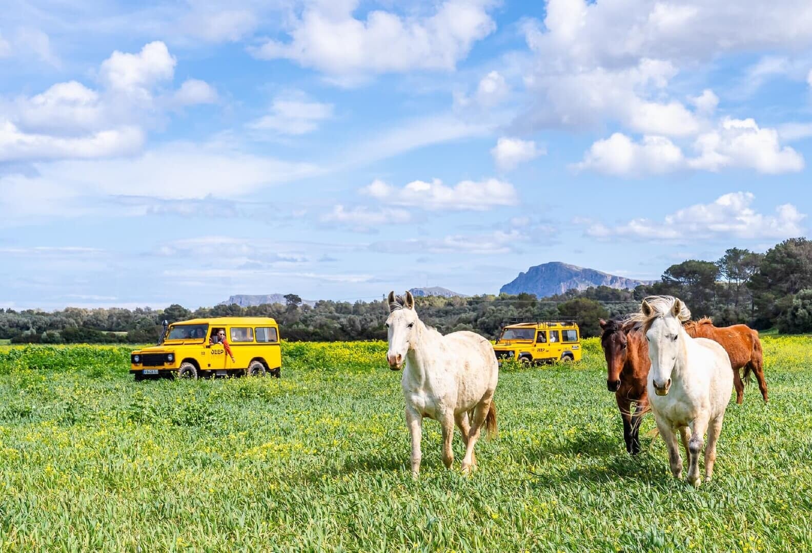 Views of the Tramuntana area