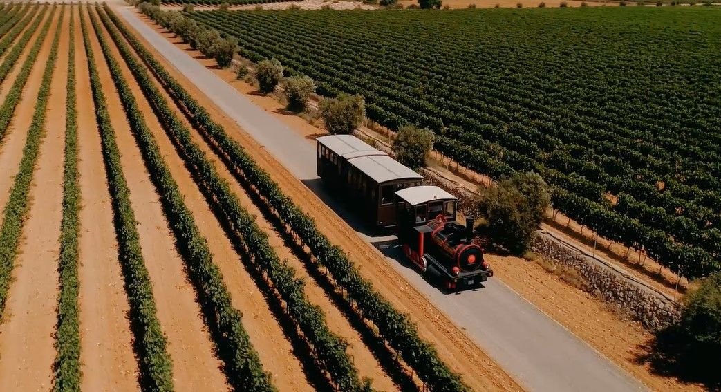 wine train mallorca route