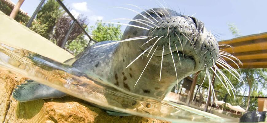 Most important atracttions in Mallorca