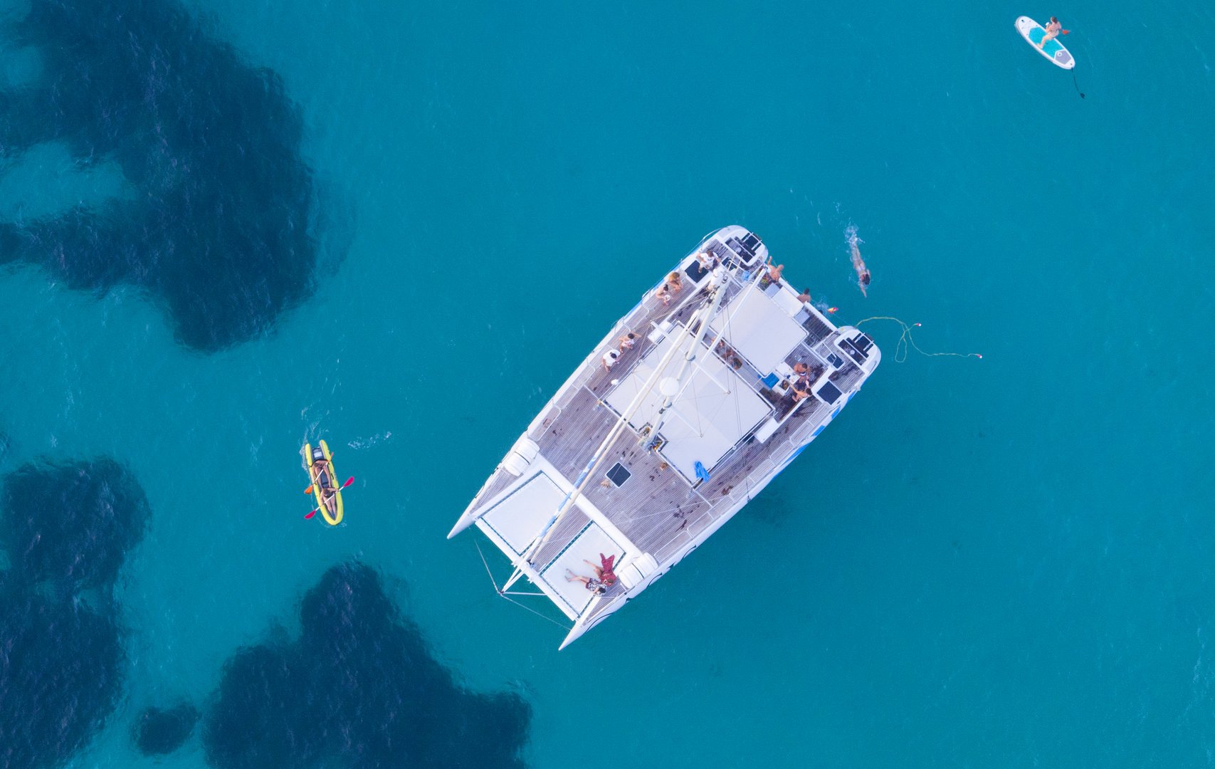 catamaran from above