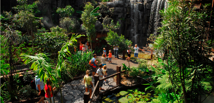 The jungle of the Aquarium