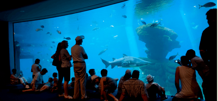 excursions, tours and activities