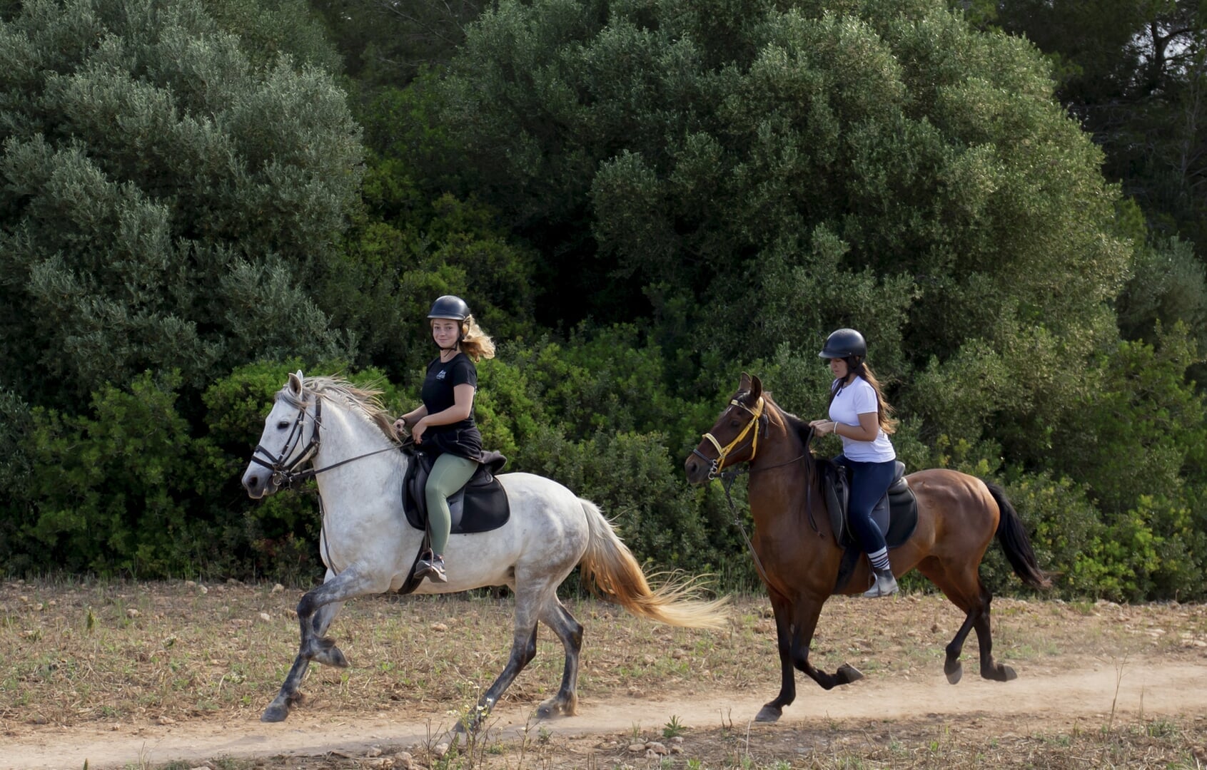 horse riding on the beach in mallorca