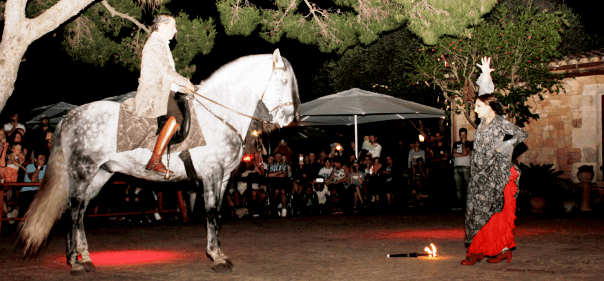 horse evening show after the bbq