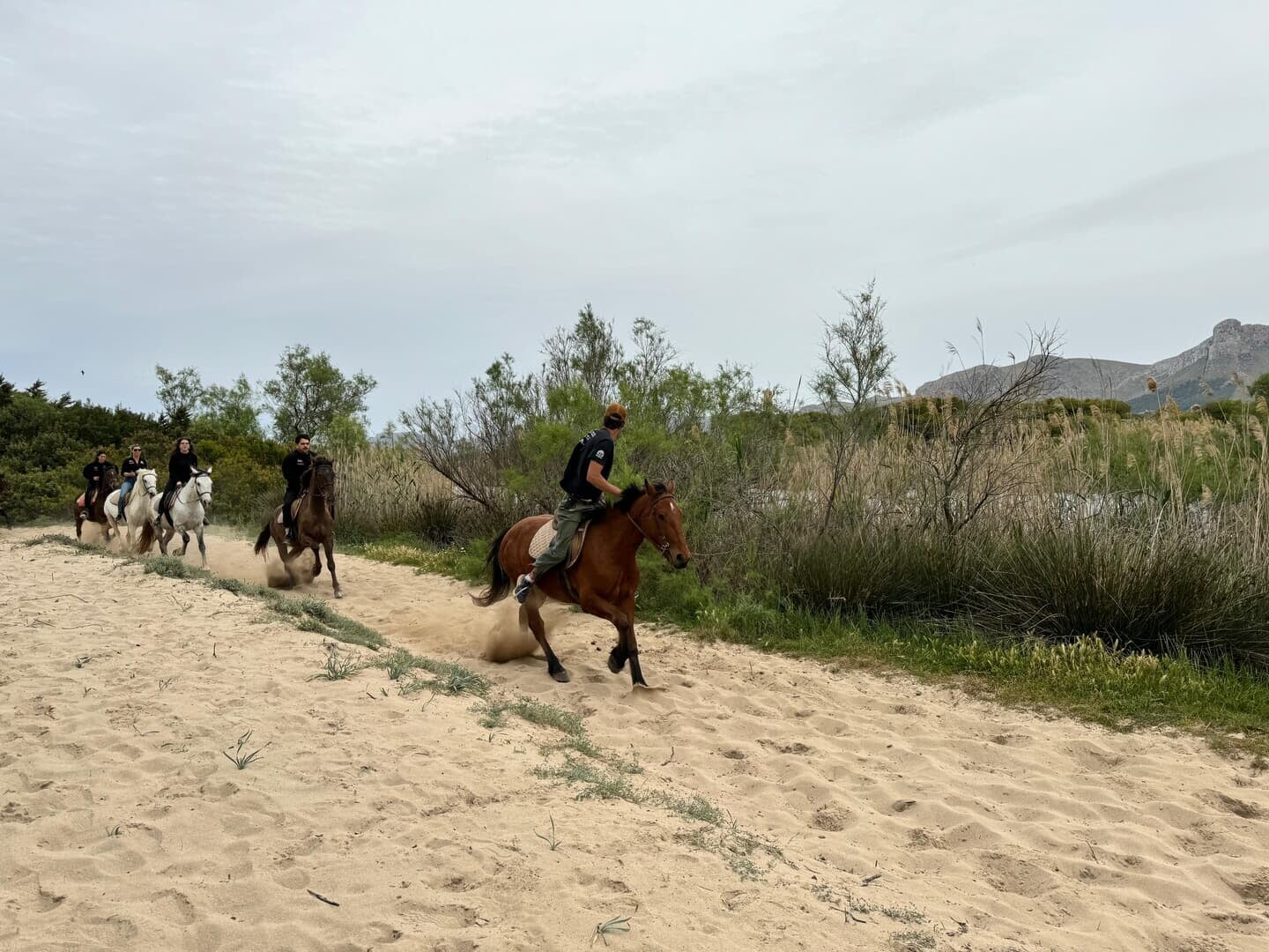 son serra de marina beach