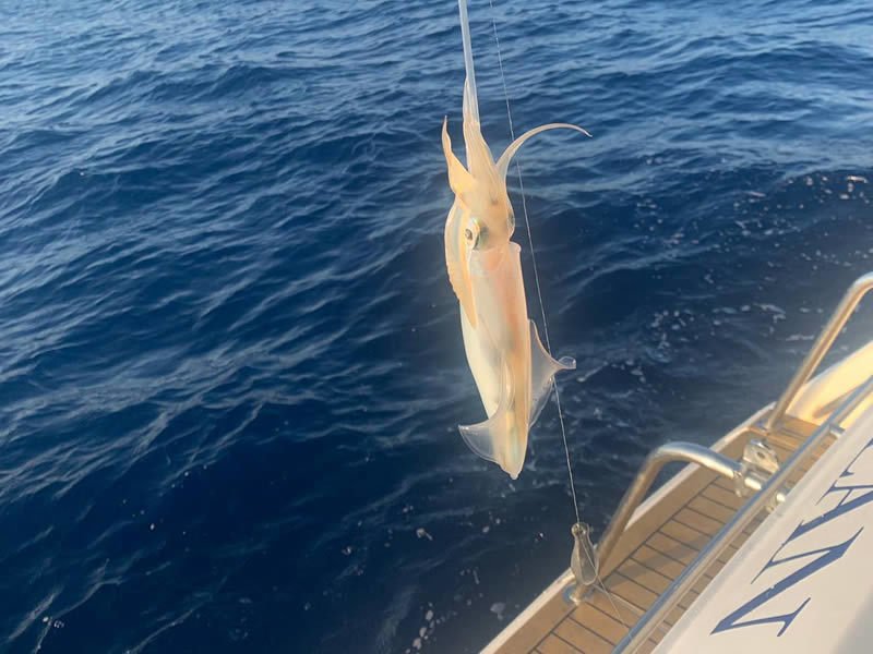 fishing in mallorca