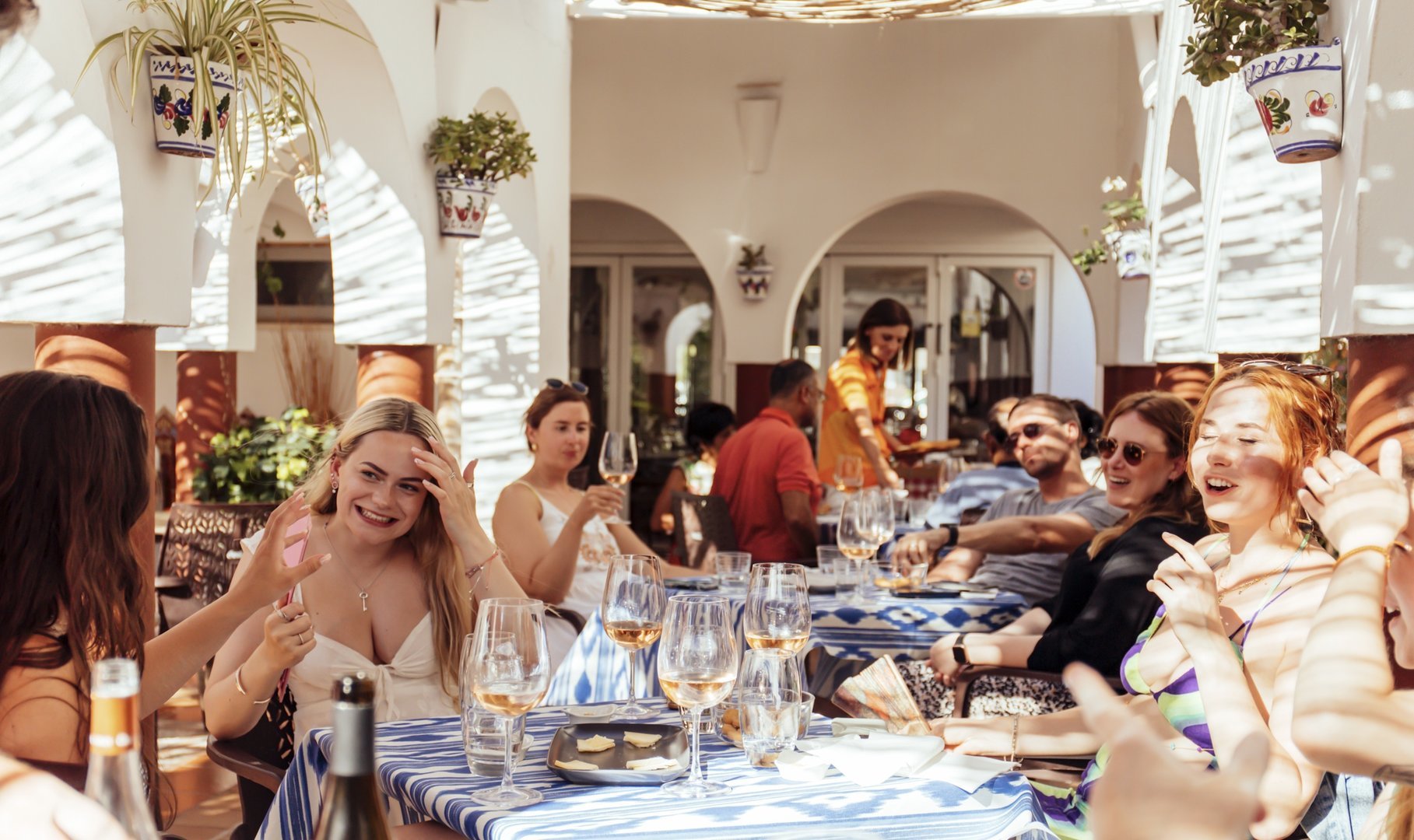 explaining the characteristics of the wine