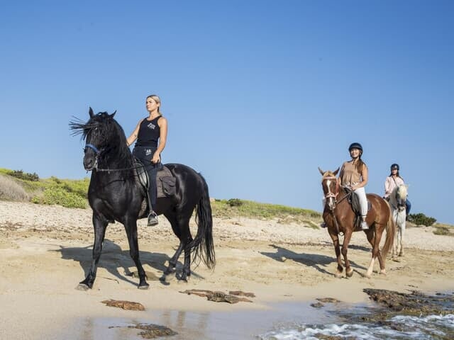 Things to do and excursions - Beach horse riding in Mallorca