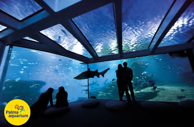 Excursiones y actividades - Acquario di Palma con sconto al prezzo
